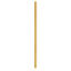 Image de BATON DE GYM L1,5M