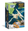 Image de ARCHEO LUDIC PTERANODON