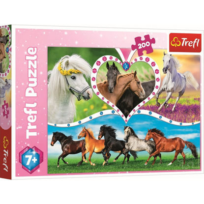 Image de PUZZLE 200 CHEVAUX 13248