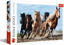 Image de PUZZLE 1000 GALLOPING HORSES 10446