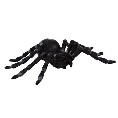 Image de HALLOWEEN ITEMS