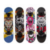 Image de SKATEBOARD