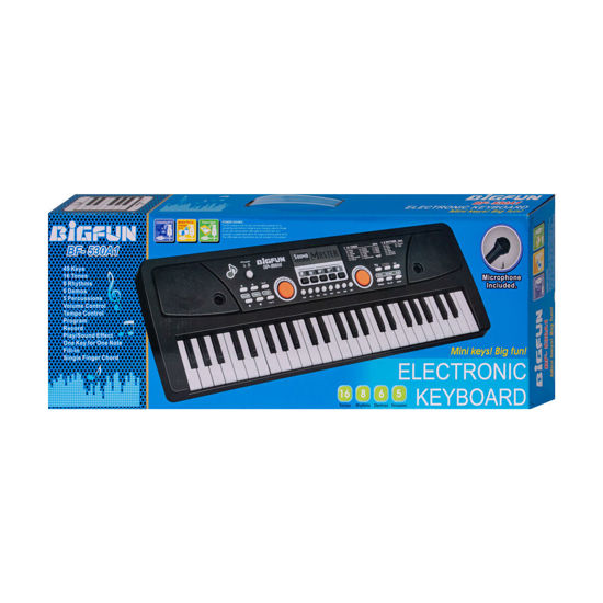 Image de ORGUE ELECTRIQUE 49 CLE AVEC CHARGEUR BF-530A1