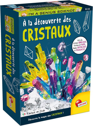 Image de LA SCIENCE DES CRISTAUX FR100217