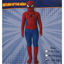 Image de DEGUISEMENT SPIDER