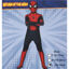 Image de DEGUISEMENT SPIDER