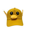 Image de CHAPEAU NS306/25-1