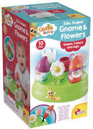 Image de CAROTINA FORMES EDUCATIVES GNOMES ET FLEURS 109951