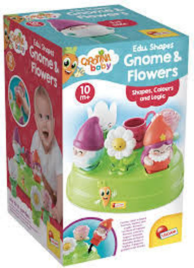 Image de CAROTINA FORMES EDUCATIVES GNOMES ET FLEURS 109951
