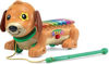 Image de ELTON MON ROULI XYLOPHONE 571005