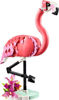 Image de LE FLAMANT ROSE 31170