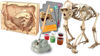 Image de GRAND COFFRET DECOUVERTE DES ANIMAUX AVEC REALITE VIRTUELLE