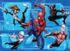 Image de Puzzle DF MaxiFloor 108pcs Spider-Man  99764