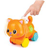 Image de Chat musical et lumineux no:000734