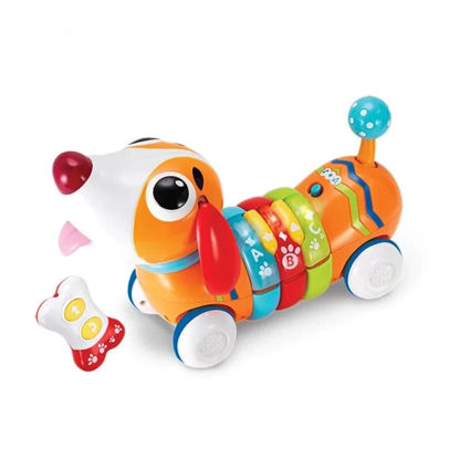 Image de Chiot arc-en-ciel R/C no:001142