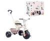 Image de Tricycle Be Fun ROSE 740335