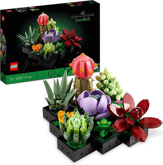 Image de Les Succulents 10309