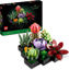 Image de Les Succulents 10309