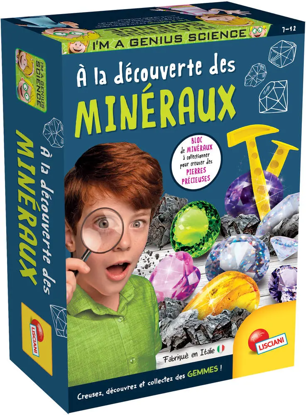 Image de DECOUVRIR LES GEMMES DU MONDE ENTIER FR100200