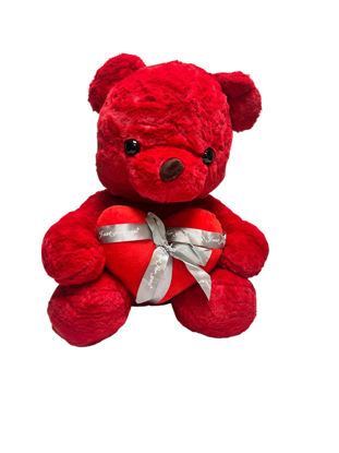 Image de PELUCHE NS1001/24 50CM