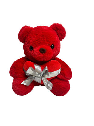 Image de PELUCHE NS2025/25 30CM