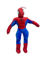 Image de PELUCHE SPIDER MAN MM