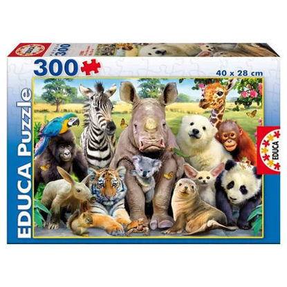 Image de Puzzle 300 pcs photo de classe 1590