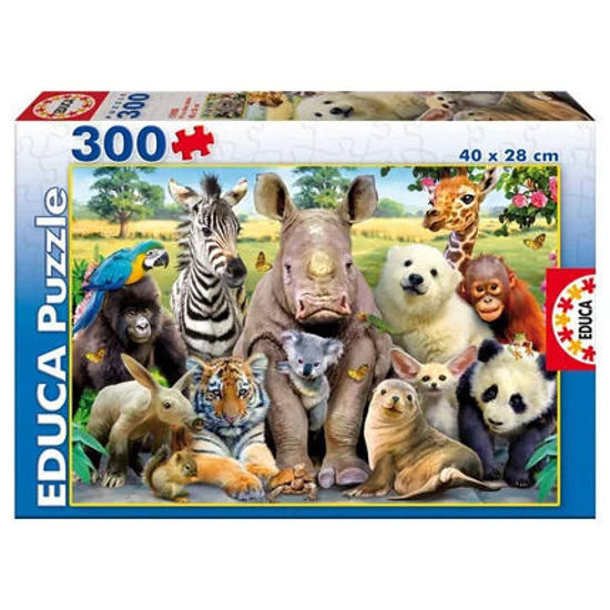 Image de Puzzle 300 pcs photo de classe 1590