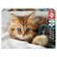 Image de Puzzles 200 pcs chaton 17154
