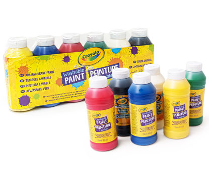 Image de washable paint vottles 6ct (8OZ 237ml)
