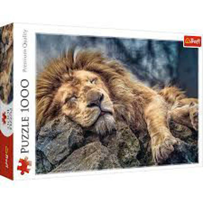Image de PUZZLE 1000 SLEEPING 10447