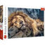 Image de PUZZLE 1000 SLEEPING 10447