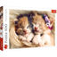 Image de PUZZLE 500 SLEEPING KITTINGS 37271