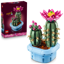 Image de Cactus fleuri 11509