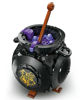 Image de Le Chaudron le cours de potions caché 76464