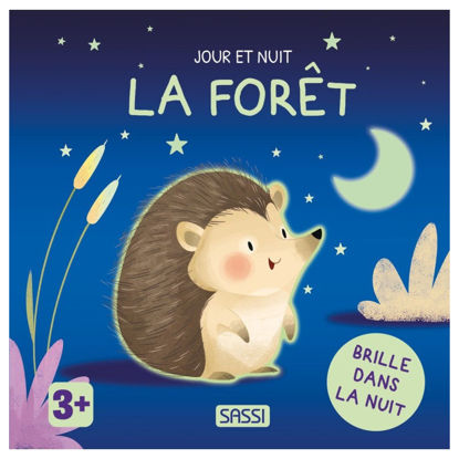 Image de JOUR ET NUIT LA FORET