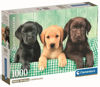 Image de PUZZLE 1000 PCS TROIS LABRADOR