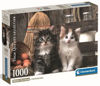 Image de Puzzle 1000 pièces - Lovely kittens