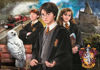 Image de Puzzle 1000 pièces HARRY POTTER