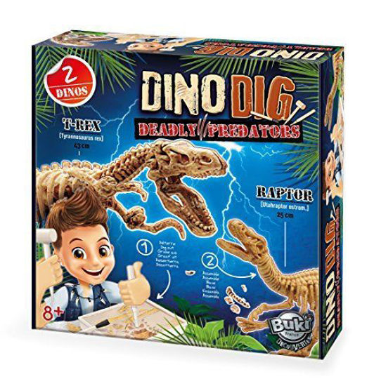 Image de DINO DIG 2139