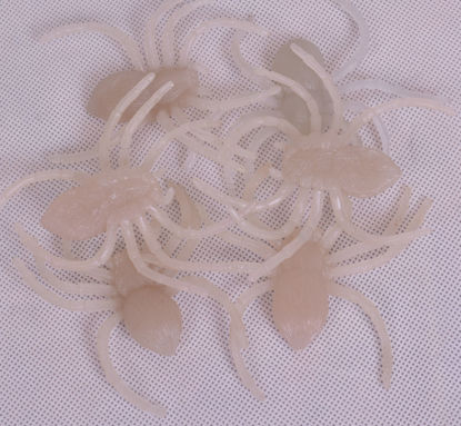 Image de Araignées plastiques décoratives transparentes