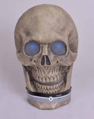 Image de SCARY SKULL halloween witn sound and light effect