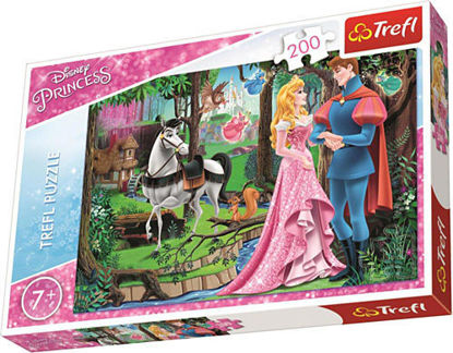 Image de PUZZLE 200 PRINCESSE 13223