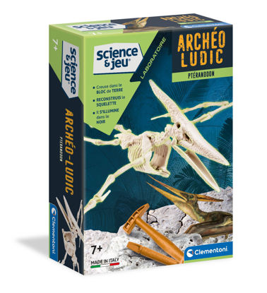Image de ARCHEO LUDIC PTERANODON