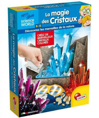 Kit Scientifique et Educatif - Lisciani - I'm a Genius Science - La Science  des Etoiles - Planétarium Electronique - Observation de