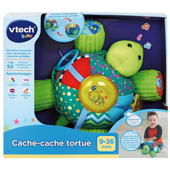 Image de Cache-cache Tortue