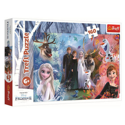 Image de PUZZLE 160 FROZEN2 15406