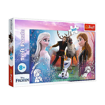 Image de PUZZLES 300 MAGIC TIME FROZEN2 23006