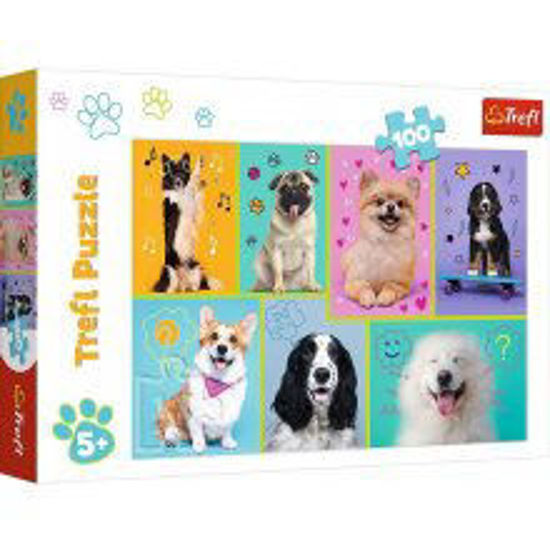 Image de PUZZLES   IN THE WORLD OF DOGS  16421