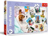 Image de PUZZLES 300 HOLIDAY PICTURES TREFL 23003